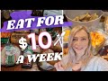 EXTREME BUDGET CHALLENGE || A WEEK OF MEALS FOR $10 || CHEAP RECIPES