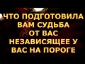 ЧТО ПОДГОТОВИЛА ВАМ СУДЬБА- ОБСТОЯТЕЛЬСТВА НЕ ЗАВИСЯЩИЕ ОТ ВАШЕЙ ВОЛИ НА ПОРОГЕ +СОВЕТ гадание таро