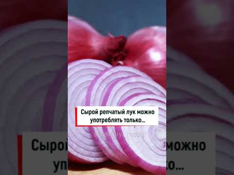 Сырой репчатый лук