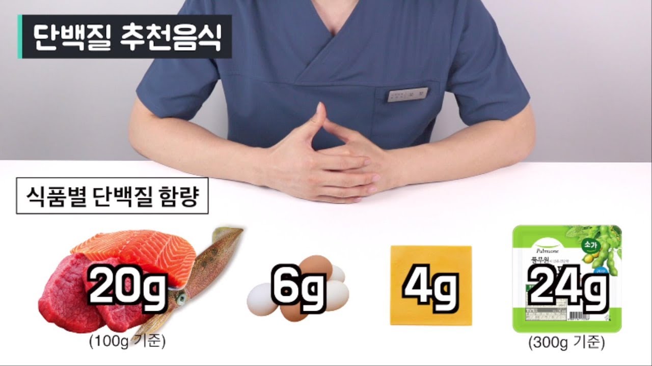 다이어트 위한 단백질 섭취량 계산 논문 총정리!! (다이어터 필수시청) - Youtube