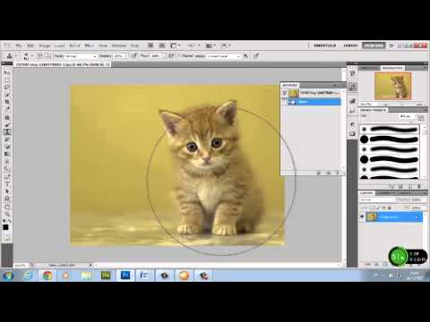 การ ตกแต่ง ภาพ  Update New  การตกแต่งภาพด้วย Clone stamp Tool โปรแกรม Adobe Photoshop CS5