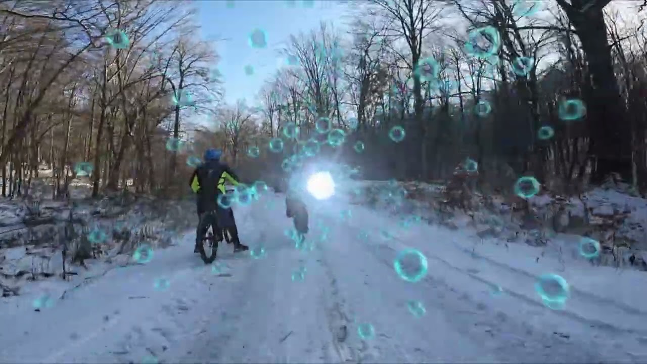 11.01.2026 Iași Club de Biciclete  Prin pădurea înzăpezită