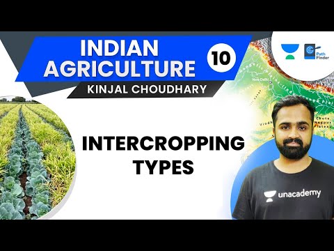 Video: Wat is intercropping in de landbouw?