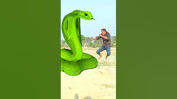 Anaconda snake in real life P111#shorts #short #snake #nagin #python #anaconda #snakes #bigsnake