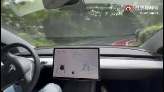 Tesla crash in China