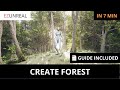 Unreal Engine 5 Tutorial for Beginners: How to Easily Create Forest Environment