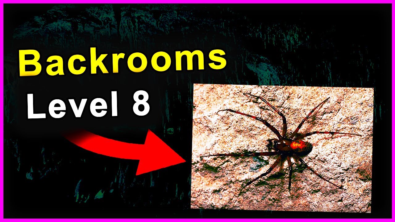 The Arachnids of Level 8 Are NOT Normal Spiders! #Backrooms - Entity 39 