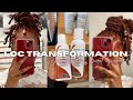 dying my locs | loc transformation/journey | Jalah Shanai