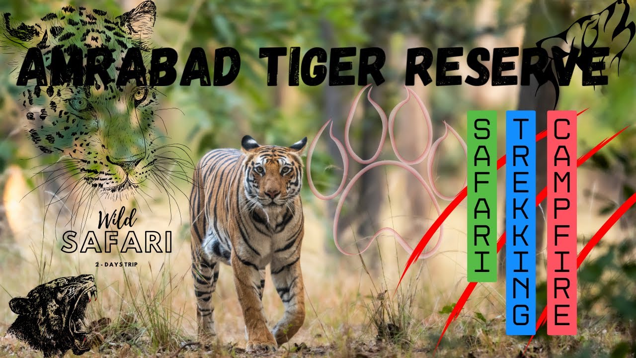 Amrabad Tiger Reserve: A Thrilling Safari for Wildlife Lovers | Nallamala Forest | Mannaur Resort