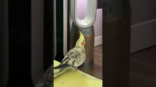 10 Temmuz 2025 Resimi