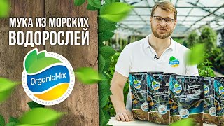 Мука из морских водорослей от Органик Микс / Подробно о продукции Органик микс