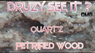 DRUZY SEE IT? RARE DRUZY QUARTZ PETRIFIED WOOD ROCKHOUND TREASURE FINDS VIEWED THRU A MICROSCOPE WOW