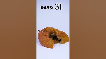 One Apple a day keeps the mold away... #shorts #apple #timelapse