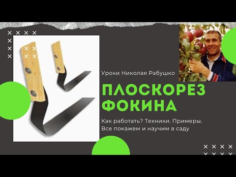 Ландшафтный дизайн с изюминкой урок 1 Ландшафтный дизайн с изюминкой урок 1