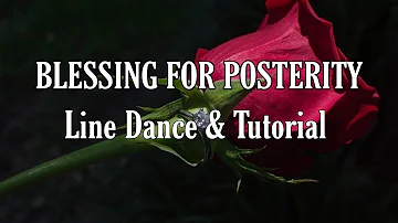 BLESSING FOR POSTERITY - Line Dance (Dance & Tutorial)