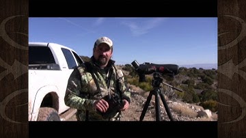 Proper Use of Spotting Scopes and Binoculars - MossBack