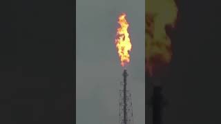 Venezuela Oil Deal: $2B Export to US Amid Sanctions Shift | Global Insights