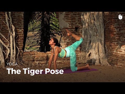 Video: Teknikë Për Kryerjen E Vyagrasana Në Yoga