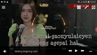 LAGU MALING KINGKONG / ( LIRIK MP3)