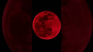 Почему Луна бывает красной? Лунное затмение 28 октября #наукаpro #затмения2023года #лунноезатмение