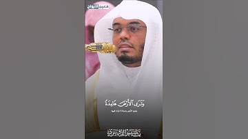 ﴿وترى الأرض هامدة﴾ تلاوة اسرة للشيخ #ياسر_الدوسري #معين_الأرواح