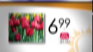 Stauffers Home & Garden Specials April 9  15, 2014