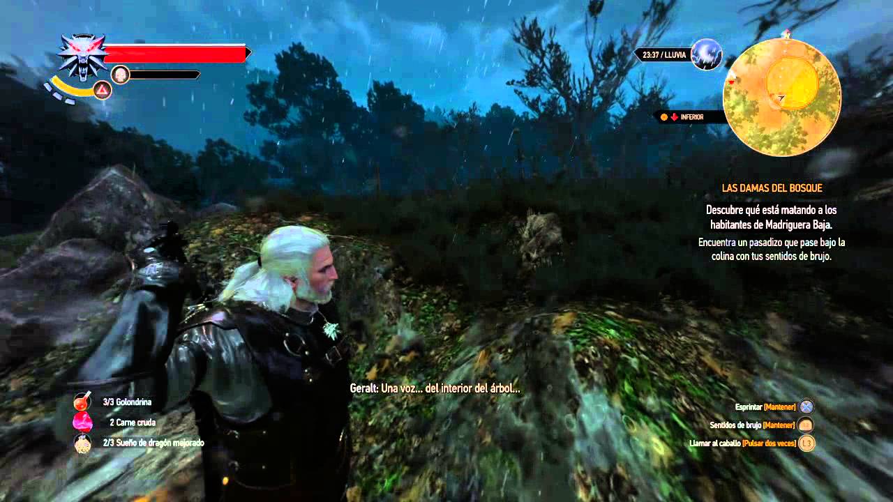 The Witcher 3: Wild Hunt - Las damas del bosque 3 - YouTube