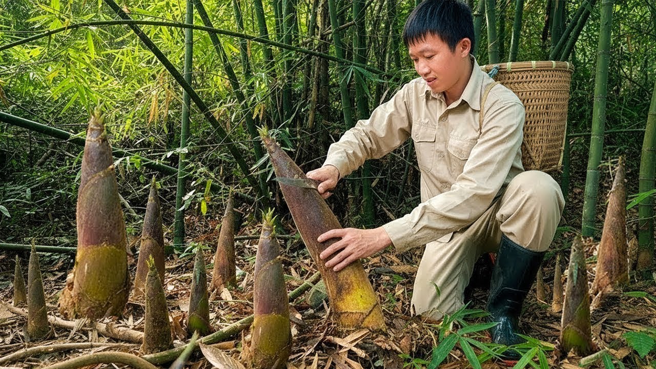 1 Days of Harvesting Bamboo shoots, Sugarcane, Plums, Eggplants market to sell