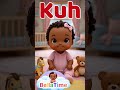 Learn Letter K Sound | ABC Phonics for Babies &amp; Toddlers 🔤✨ #shorts #abcd #lowstimulation