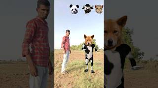 Cow head matching game and funny vfx video screenshot 4