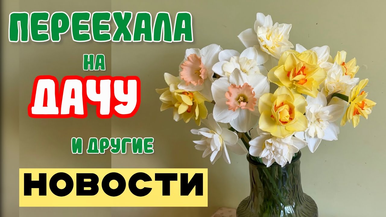 ПЕРЕЕХАЛА НА ДАЧУ. Важная НОВОСТЬ!!!