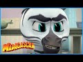 DreamWorks Madagascar | Marty is in charge of the kitchen | Madagascar: A Little Wild | Kids Movies