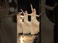 #Swanlake#ballet #dancer