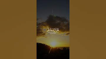 مقاطع قرآن قصيرة وحالات إسلامية بدون حقوق | القارئ عبدالله الموسى 🎧🌴| .✿