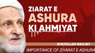 IMPORTANCE OF ZIYARAT E ASHURA | Advice of Ayatollah Bahjat |