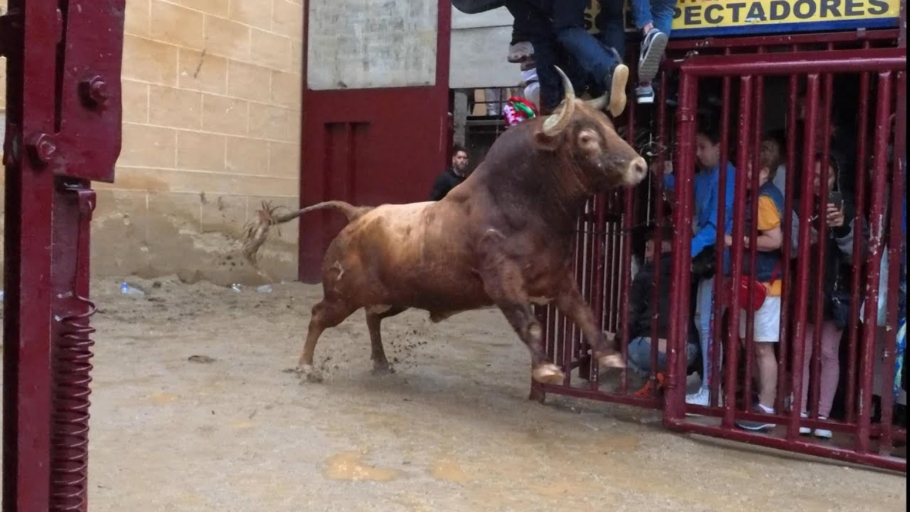 CORIA 2024 Sanjuanes, Enrique Serrano Viernes 28 6