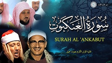 سورة العنكبوت | تلاوة هادئة جدا | تقشعر لها الابدان بصوت الشيخ أيمن رشدي سويد