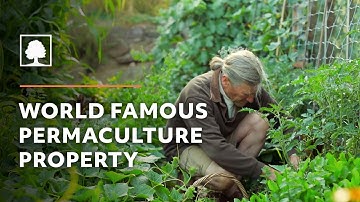 World Famous Permaculture Property Tour | David Holmgren and Su Dennett