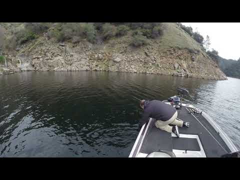 ماهیگیری تام اربیل