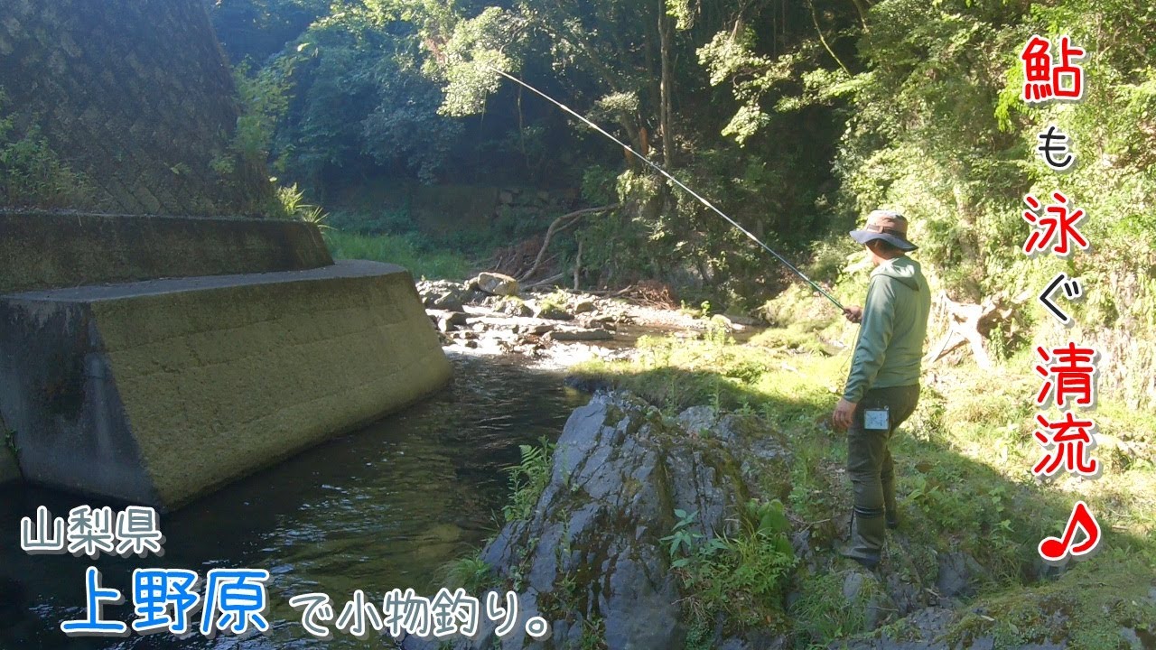 鮎も泳ぐ清流～♪  都心から1時間。里山と清流と歴史も感じる上野原！ 山梨県 上野原で小物釣り。