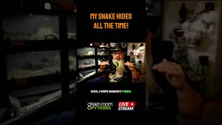 Whats wrong with your snake if it hides ALL THE TIME?
