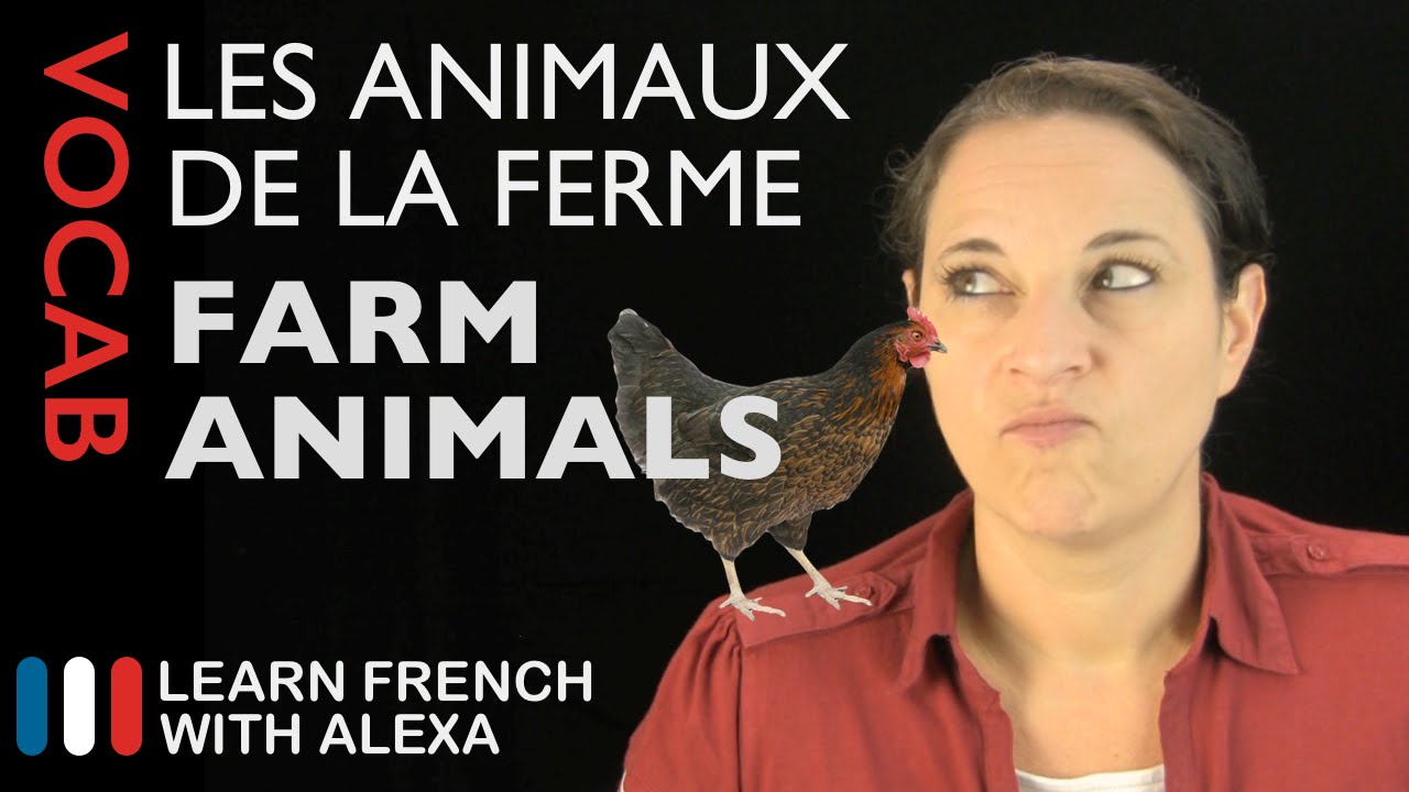 ⁣Farm Animals in French (basic French vocabulary from Learn French With Alexa)