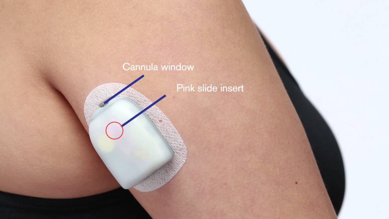 ผลการค้นหารูปภาพสำหรับ omnipod pod