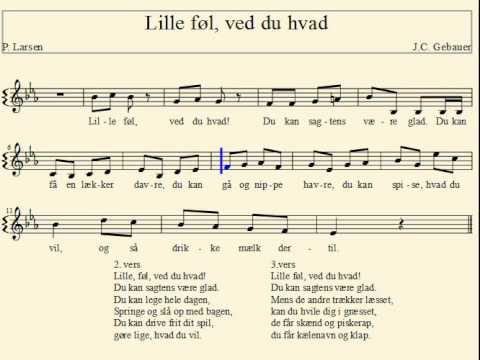 se den lille stær se den lille stær