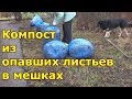 Что делать с опавшей листвой. Готовим компост в мешках