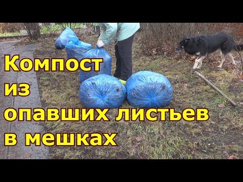 Как сделать из листьев перегной