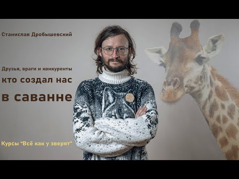 Видео: Кто создал человека: друзья, враги, конкуренты // St. Дробышевский и курсы "Всё как у зверят"