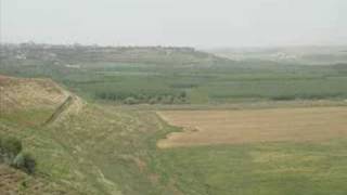 Amed