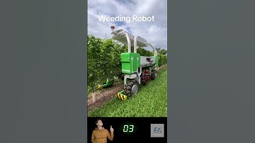 Farmers Rejoice! Fully Automatic Weeding Robot Takes the Stage 🤖