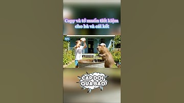 Capybara và tớ muốn tiết kiệm tiền máy lạnh cho bà và cái kết #capybara #giaitri #thinhhanh #vuive